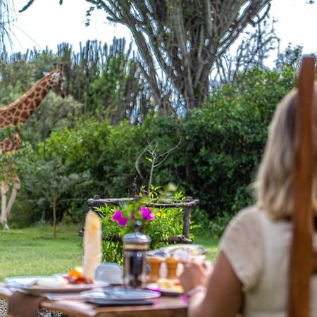 Mbweha Camp Lake Nakuru Elmenteita Exteriör bild