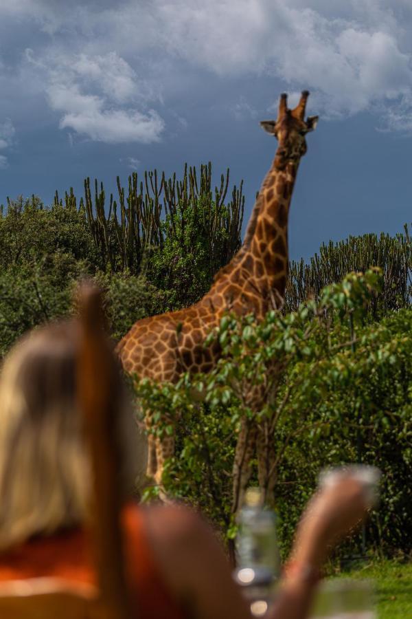 Mbweha Camp Lake Nakuru Elmenteita Exteriör bild