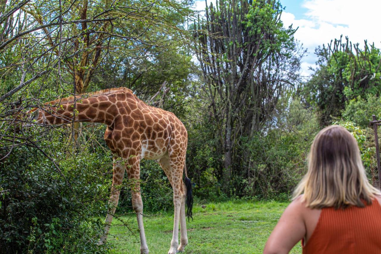 Mbweha Camp Lake Nakuru Elmenteita Exteriör bild