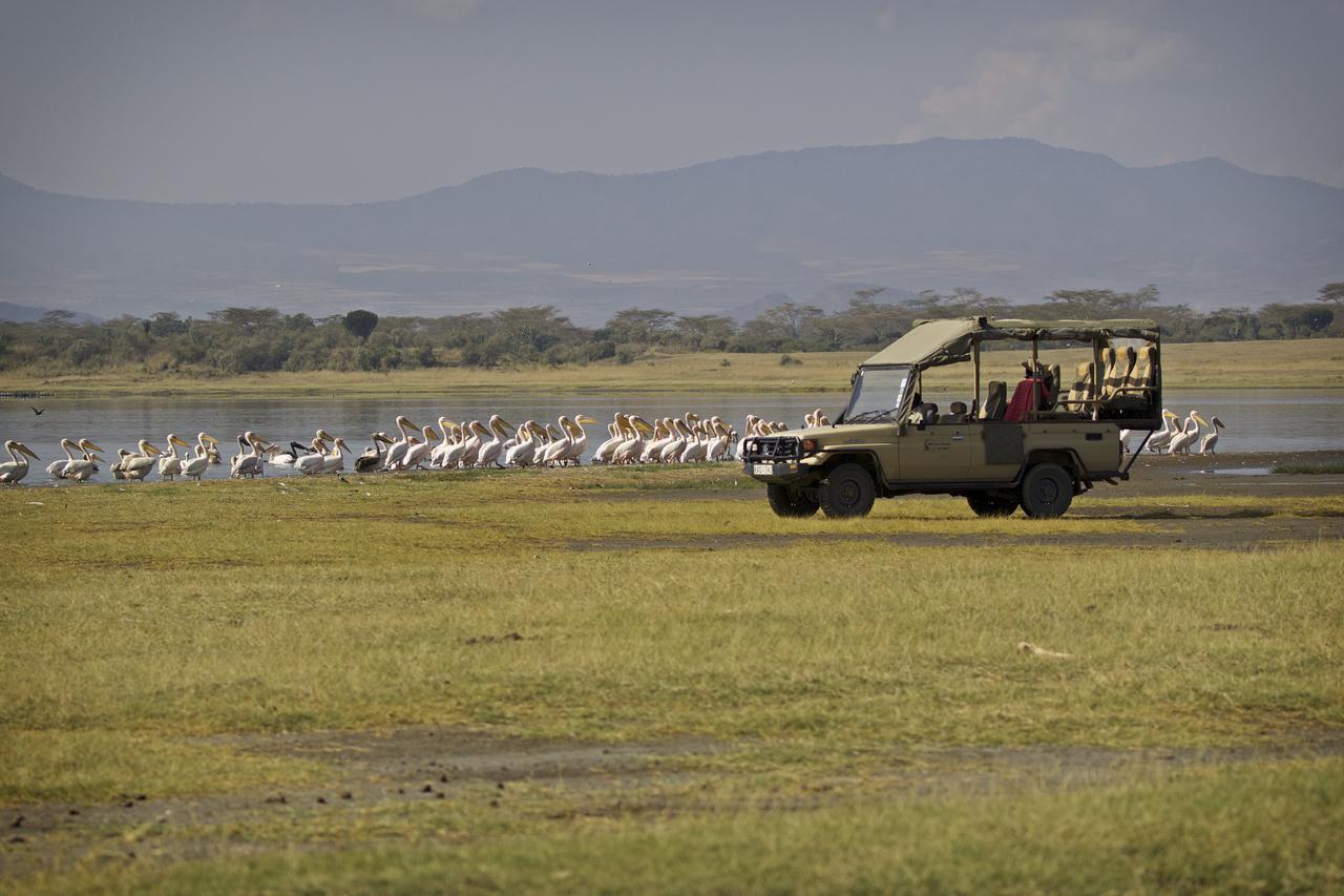 Mbweha Camp Lake Nakuru Elmenteita Exteriör bild