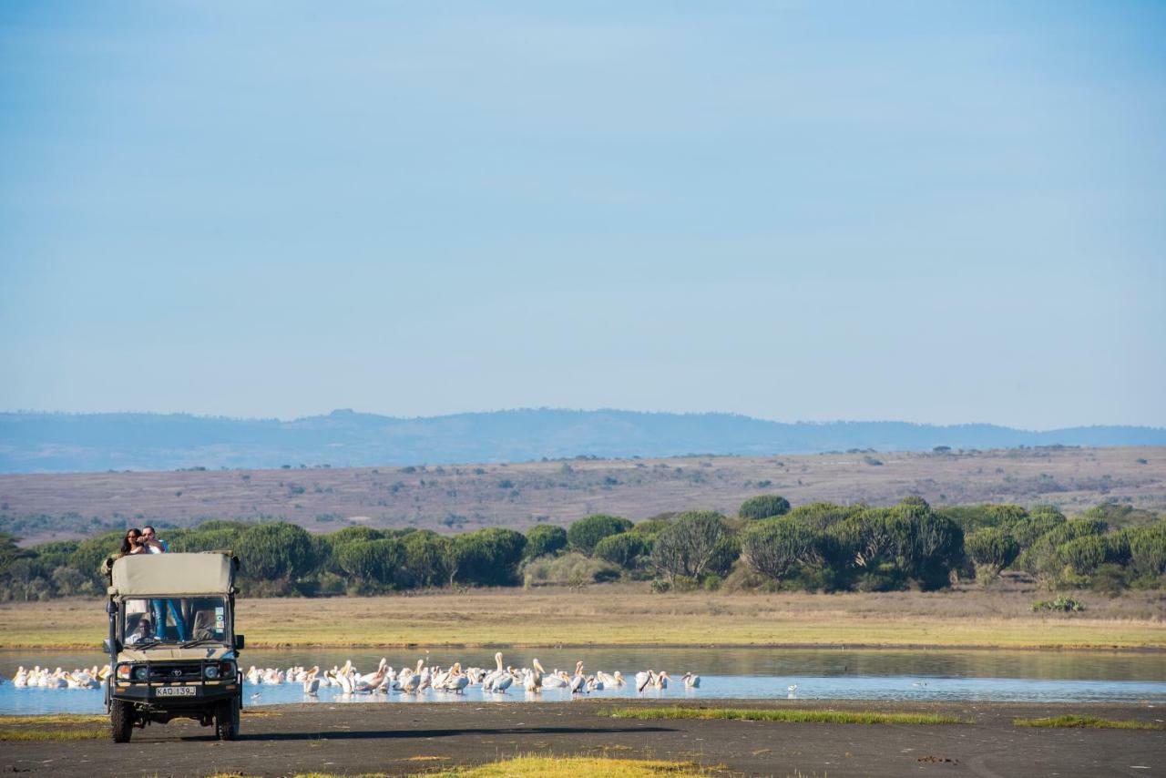 Mbweha Camp Lake Nakuru Elmenteita Exteriör bild